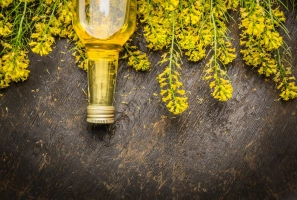 روغن کانولا چیست و چه خواصی برای بدن دارد؟